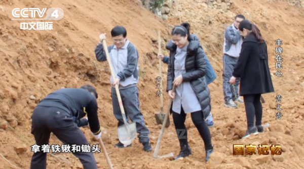 “文秀月季”定名！这朵黄花，是群众对她的思念