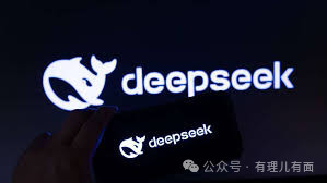 美国公司给DeepSeek付费充值打了谁的脸?