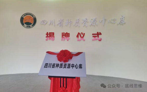 被外国间谍盯上的“亲本种子”，有多珍贵？