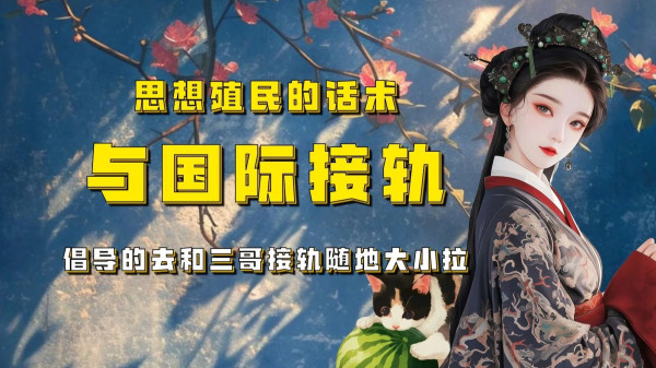 与国际接轨，是不是什么轨都接？