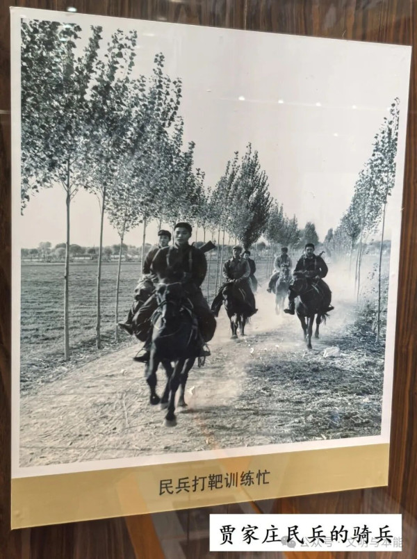 陶鲁笳：建国初期关于建立农村合作社的争论