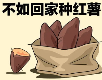 陈先义：兰考在念红薯经