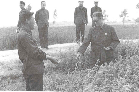 冰壶秋月说宋平