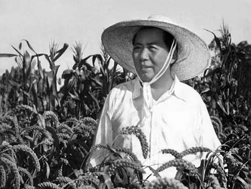 毛泽东为何提倡大寨精神