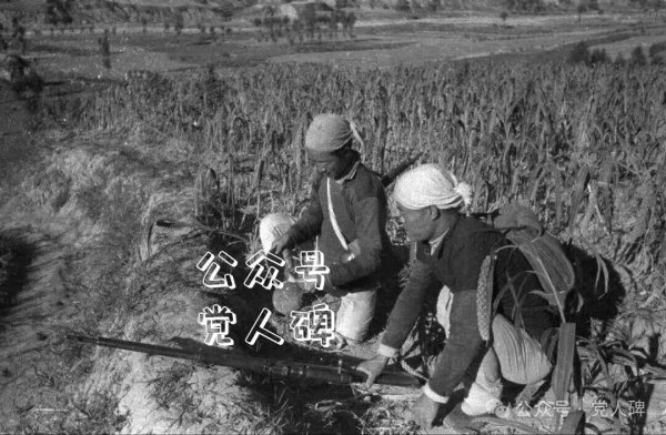 剜到筐里都是菜？发展党员须慎重！