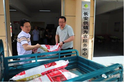 风吹麦浪,供销合作社农业社会化服务组织尽显身手!