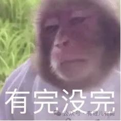 斯洛伐克总统戳到了西方什么痛处？