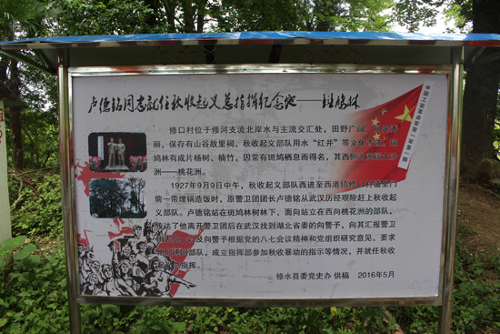 3-2斑鸠林展板.jpg