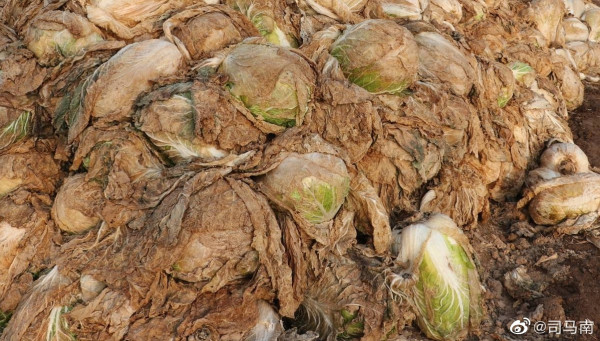 司马南:一场比烂的政治“游戏”