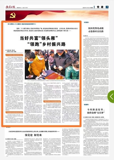 安徽日报:党组织领办合作社:探路强村富民新模式