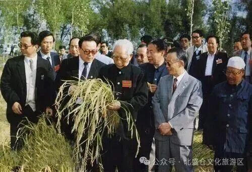 亦兵亦农亦工：开国上将王震的传奇人生