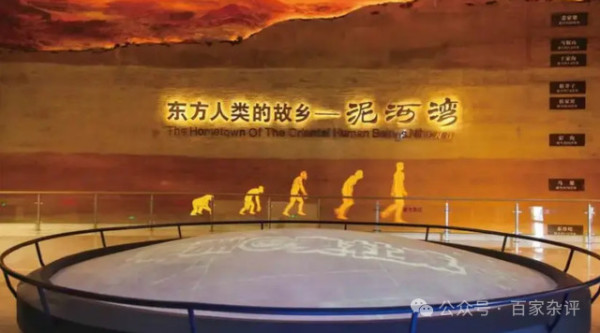 “直立人”起源：中国考古重大发现，非洲说果然不可信