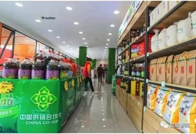 供销社重出江湖释放什么信号
