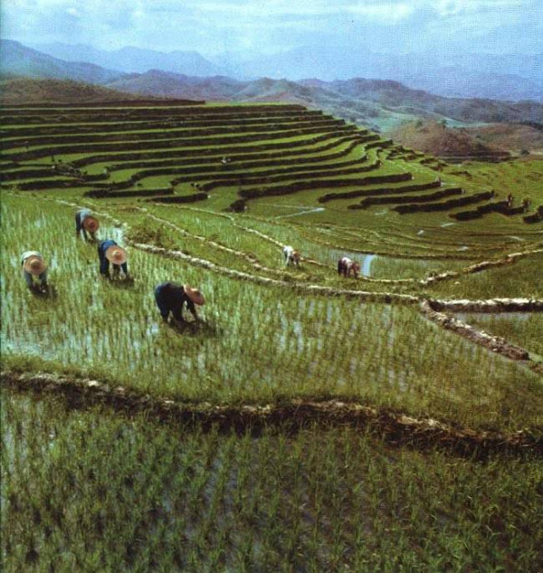 人民公社20年：伟大的光明，灿烂的希望。