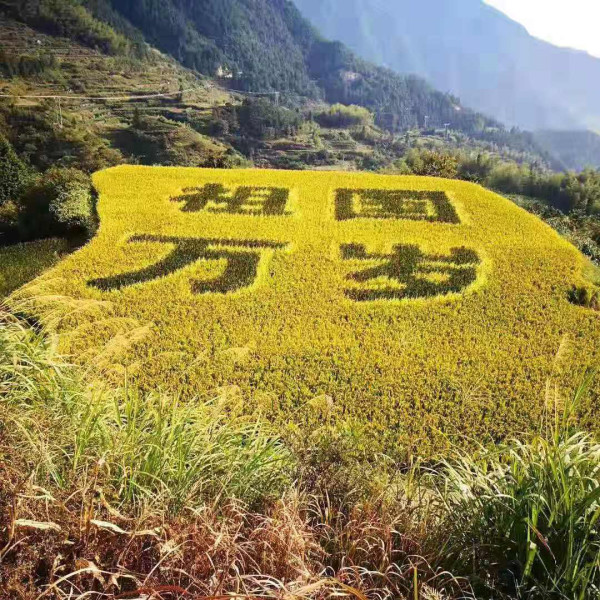 今天我们为什么要大阅兵?致敬英烈和建设者!