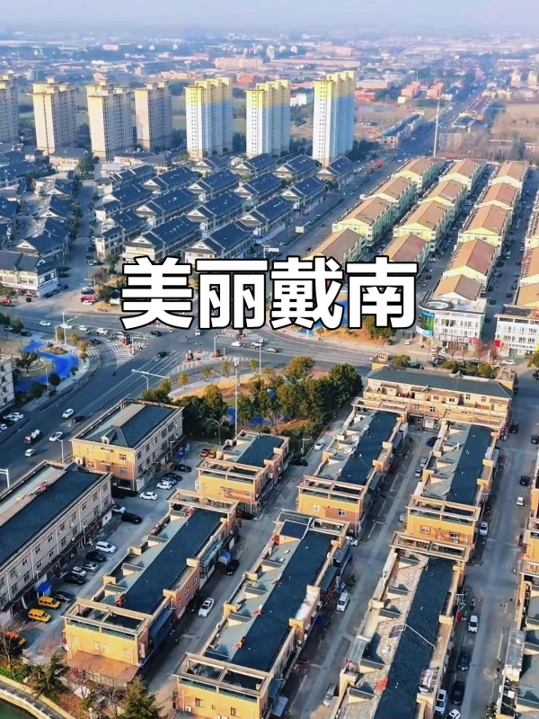 莫其康：戴南镇：社会主义现代化的中国乡镇样本