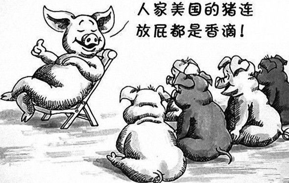 崇美公知视角下的中美新冠防治等问题