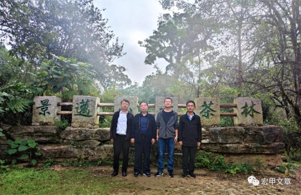 王宏甲：普洱之行