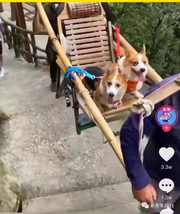 陈先义:《长津湖》:中国电影一个不小的转折