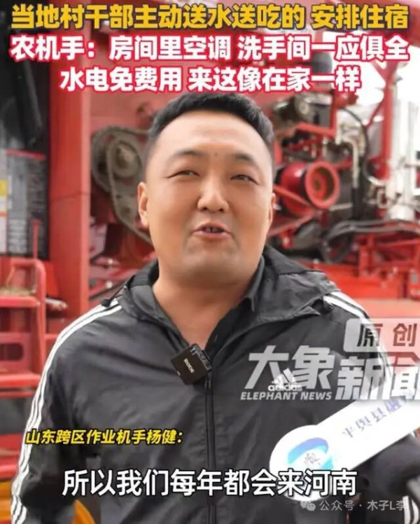 陈先义:麦收季节说不尽的河南