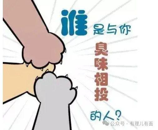 日菲之交 能有几分真诚意？