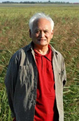 燮川:歌颂劳动与人民群众的艺术才是大意境