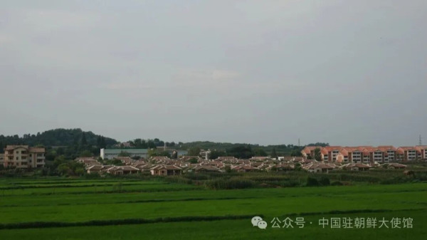 中国外交官镜头里的朝鲜