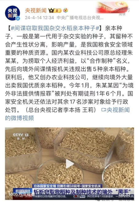 被外国间谍盯上的“亲本种子”，有多珍贵？