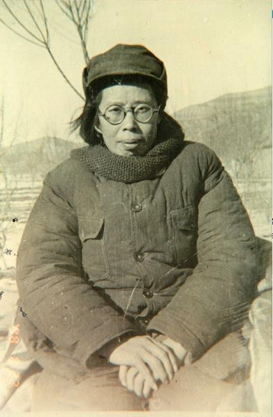 我的养母帅孟奇