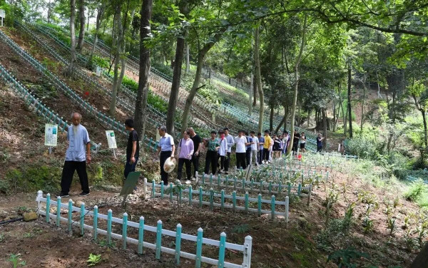 陈先义：九江老中医蔡锦芳悬壶济世、扶贫助农的感人故事