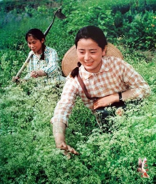毛主席时代的美女:青春质朴健康