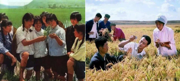 葛元仁：纪念毛主席“广阔天地，大有作为”批示发表70周年