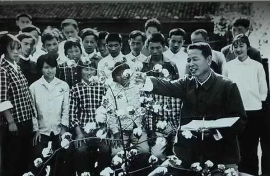 香港《新晚报》刊登的资料引发“毛时代真相”！