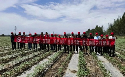 风吹麦浪,供销合作社农业社会化服务组织尽显身手!