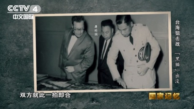 袭扰大陆的台湾黑猫中队覆灭记
