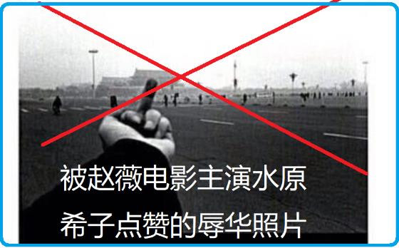 起底贼窝!中情局深度操控的黑燕子,再见!