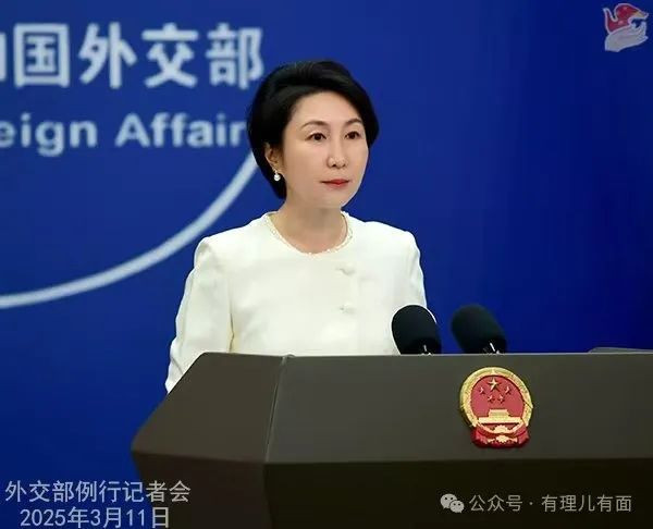 下作!反华无良智库缺钱求投喂