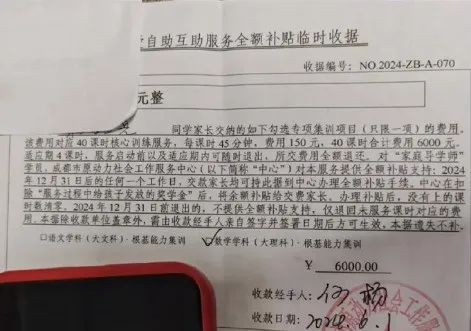 “成都少年志愿者”卷巨款跑路：教育产业化下的蛋